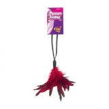 Pleasure Feather - Red